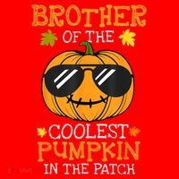 Brother Of The Coolest Pumpkin In The Patch Halloween Boy Santa Hat thumb 1