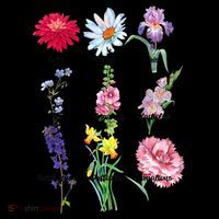 Botanical Floral Flowers Coffee Mug thumb 5