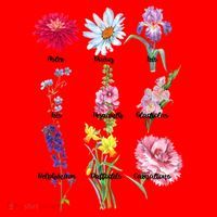 Botanical Floral Flowers Santa Hat thumb 1