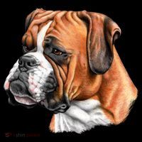 Boxer Face Tank Top thumb 6