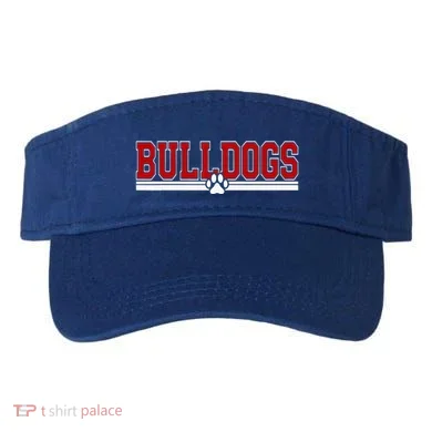 Visor