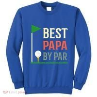 Best Papa By Par Funny Fathers Day Birthday Golfer Dad Gift Cool Gift Sweatshirt thumb 0