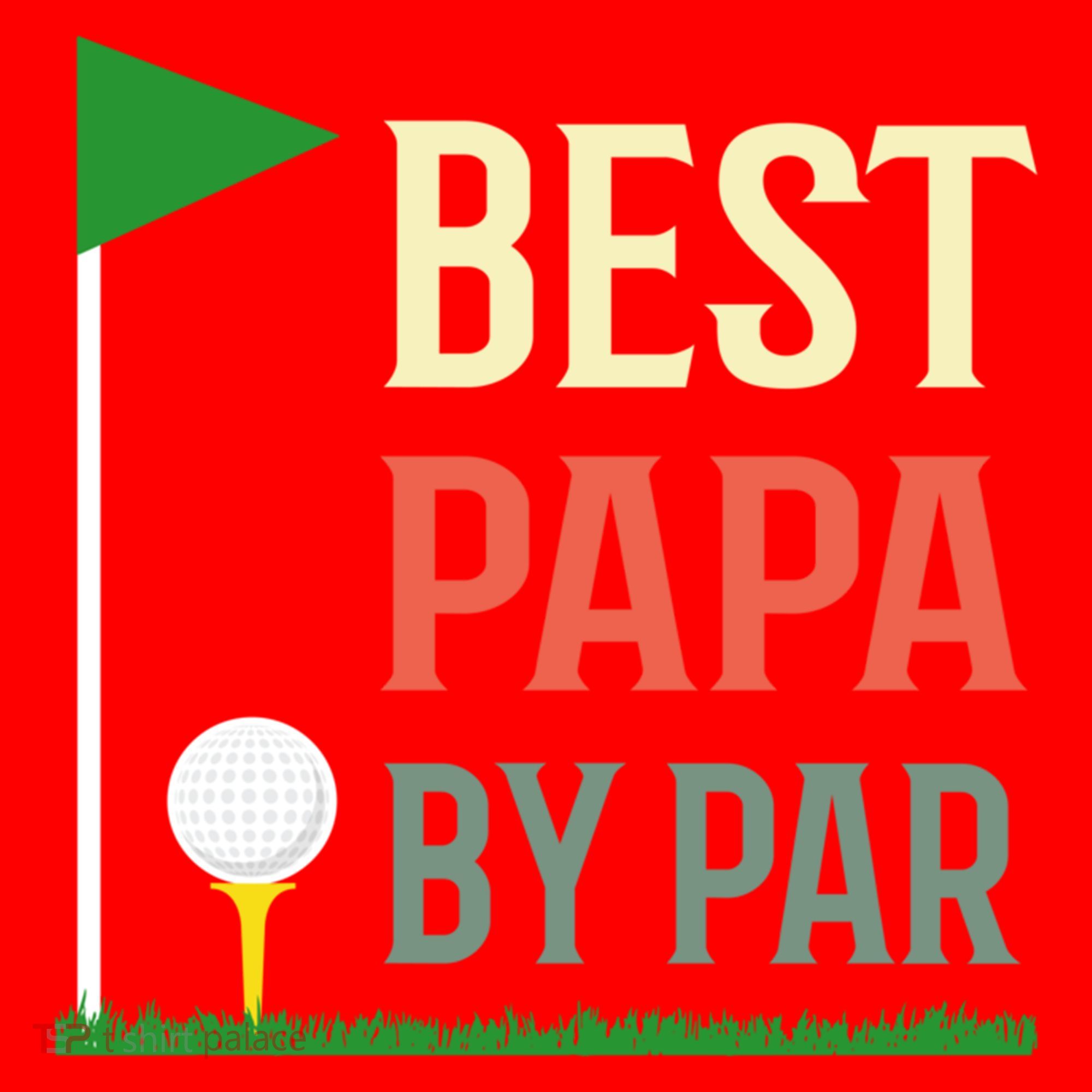 Best Papa By Par Funny Fathers Day Birthday Golfer Dad Gift Cool Gift Santa Hat