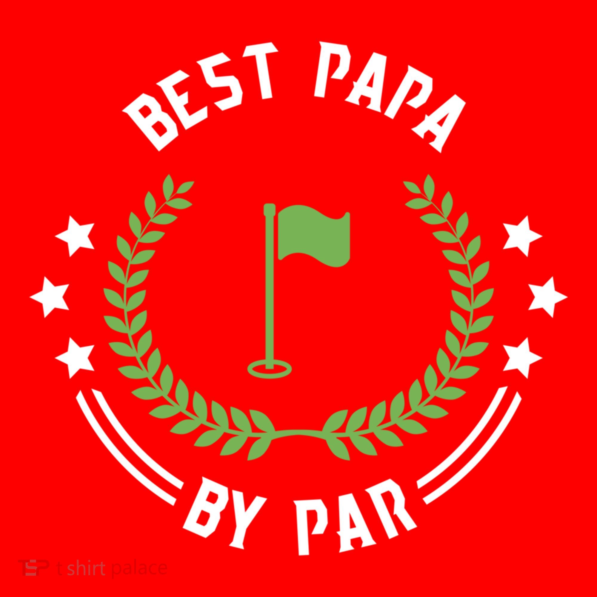 Best Papa By Par Funny Gift Golf Cool Gift For Golfing Dads Cool Gift Santa Hat