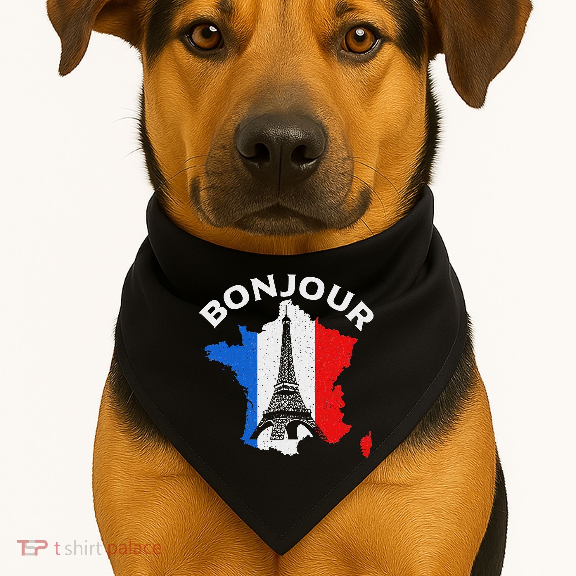 Bonjour Paris USA-Made Doggie Bandana