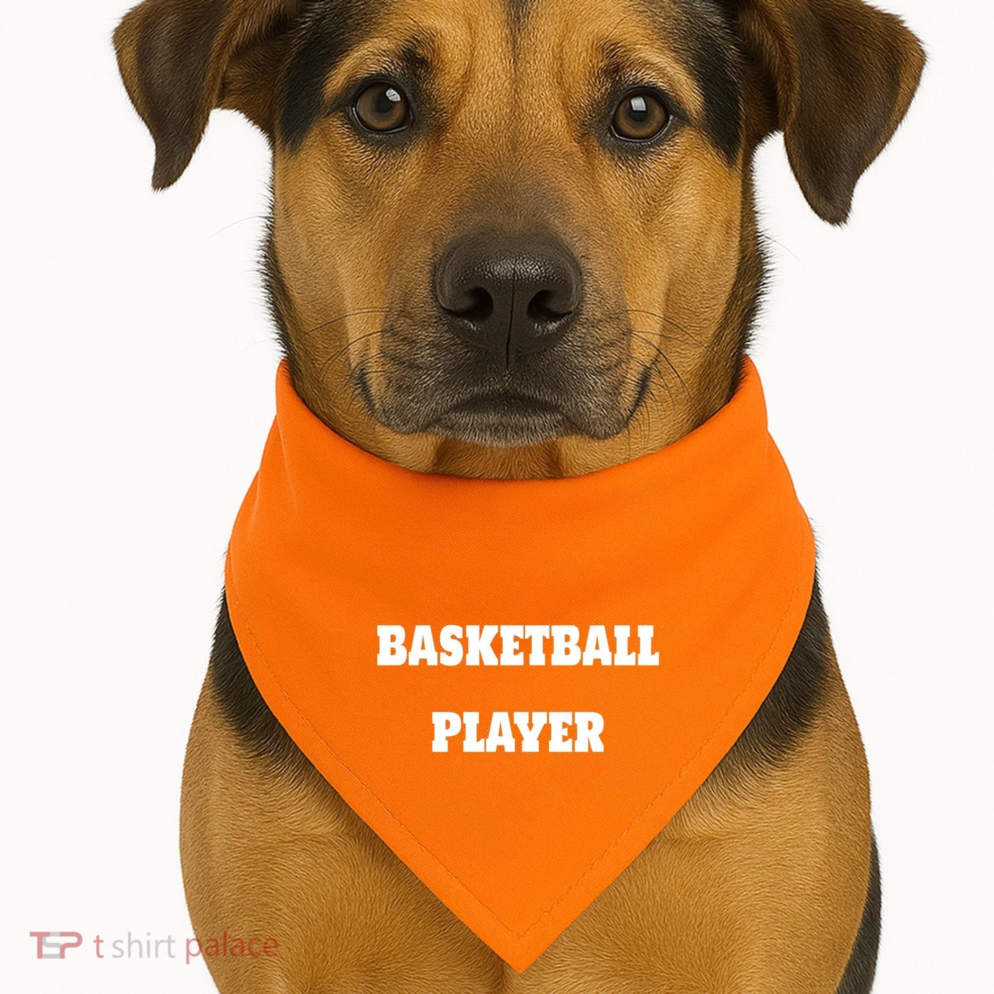 Basketball Player USA-Made Doggie Bandana