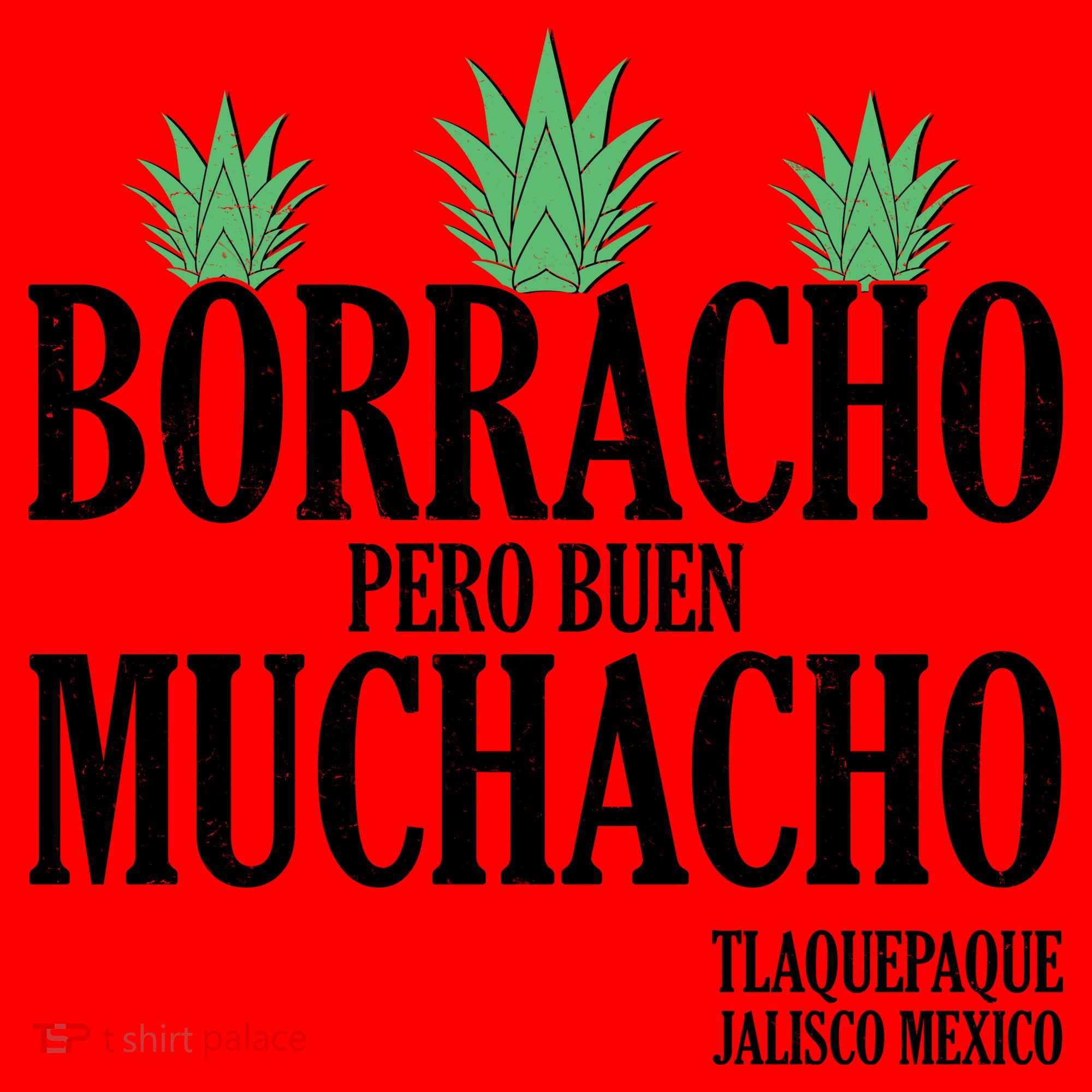 Borracho Pero Buen Muchacho Tlaquepaque Jalisco Mexico Santa Hat