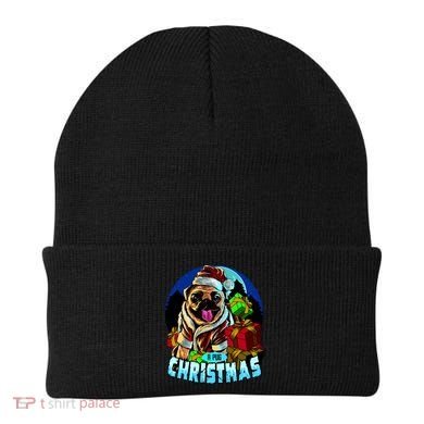 Best Pug Christmas Beanie