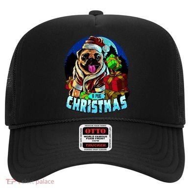 Best Pug Christmas Hat