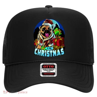 Best Pug Christmas Hat