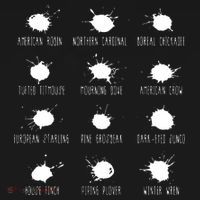 Birds Poops Chart USA-Made Doggie Bandana thumb 2