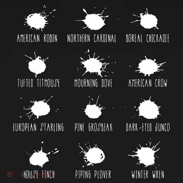 Birds Poops Chart Polo