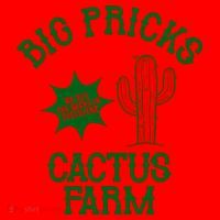 Big Pricks Cactus Farm Funny Santa Hat thumb 1
