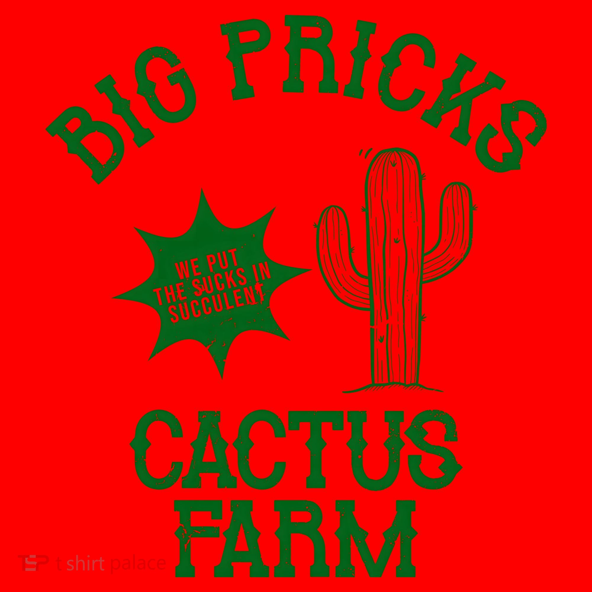 Big Pricks Cactus Farm Funny Santa Hat
