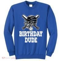 Baseball Pitcher Catcher Helmet Birthday Funny Gift Cool Gift Sweatshirt thumb 0