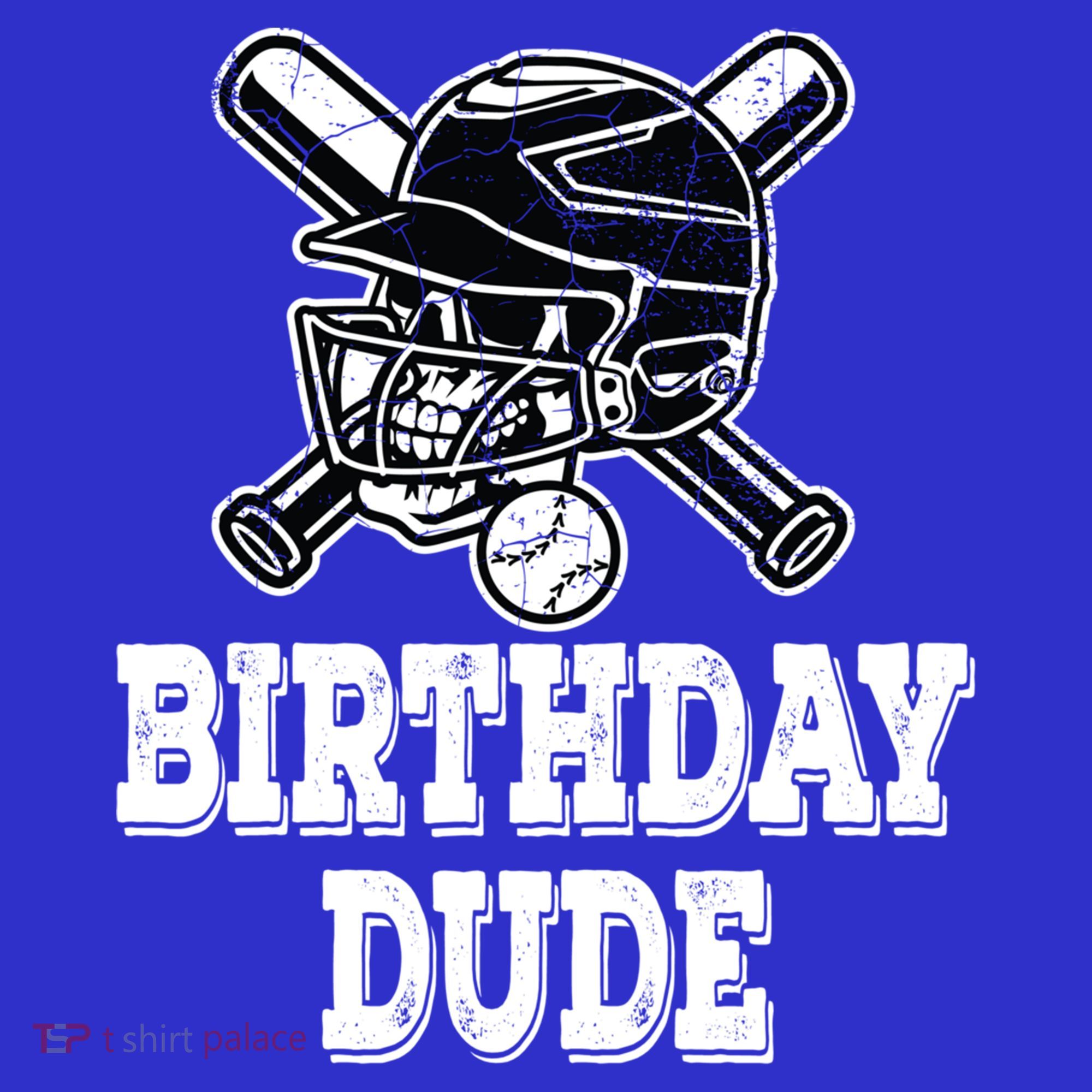 Baseball Pitcher Catcher Helmet Birthday Funny Gift Cool Gift Visor