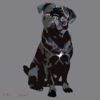 Black Pug Dog For Dog Mom Dad Funny Cute Black Pug Women's Hoodie thumb 2