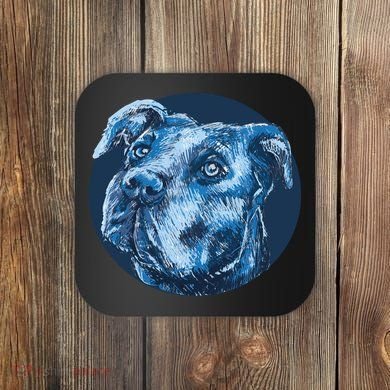 Blue Pitbull Dog Animal Portrait Cute Coaster