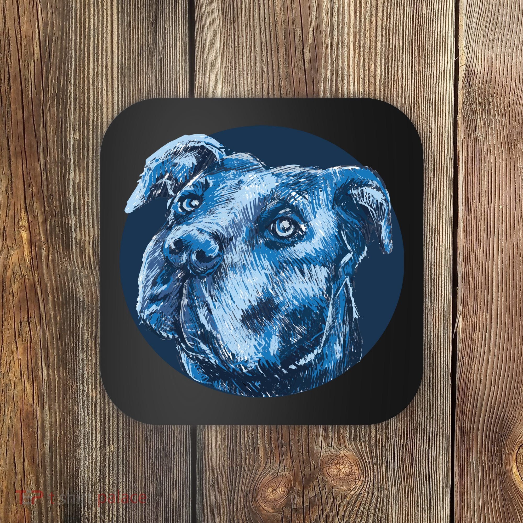 Blue Pitbull Dog Animal Portrait Cute Coaster