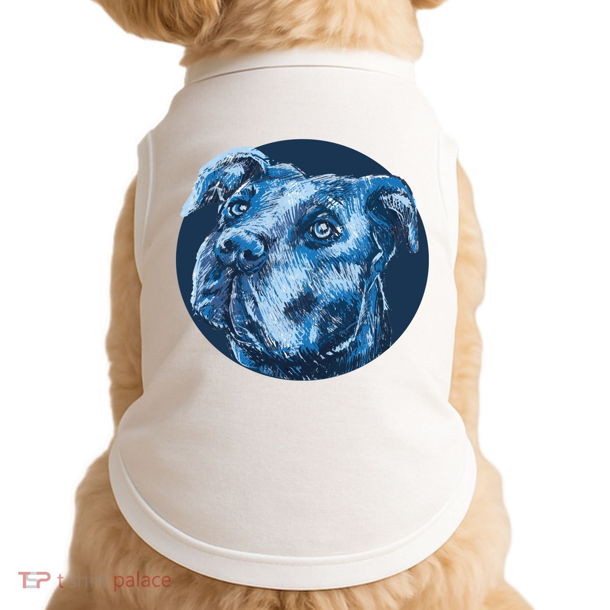 Blue Pitbull Dog Animal Portrait Cute Doggie Tank