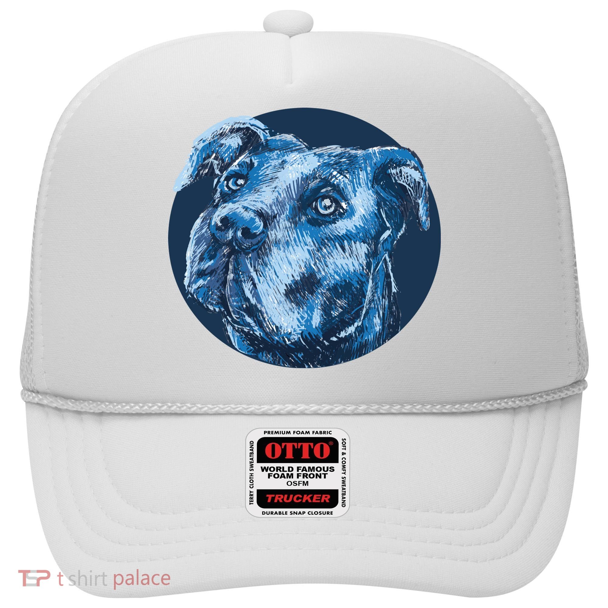 Blue Pitbull Dog Animal Portrait Cute Hat