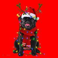Black Pug Dog Tree Christmas Lights Xmas Pajama Santa Hat thumb 1