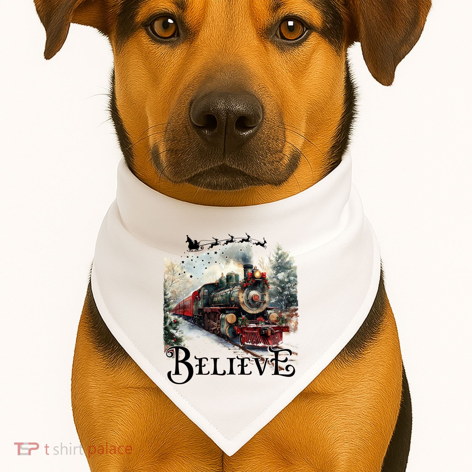 Believe Polar Express Christmas Train USA-Made Doggie Bandana