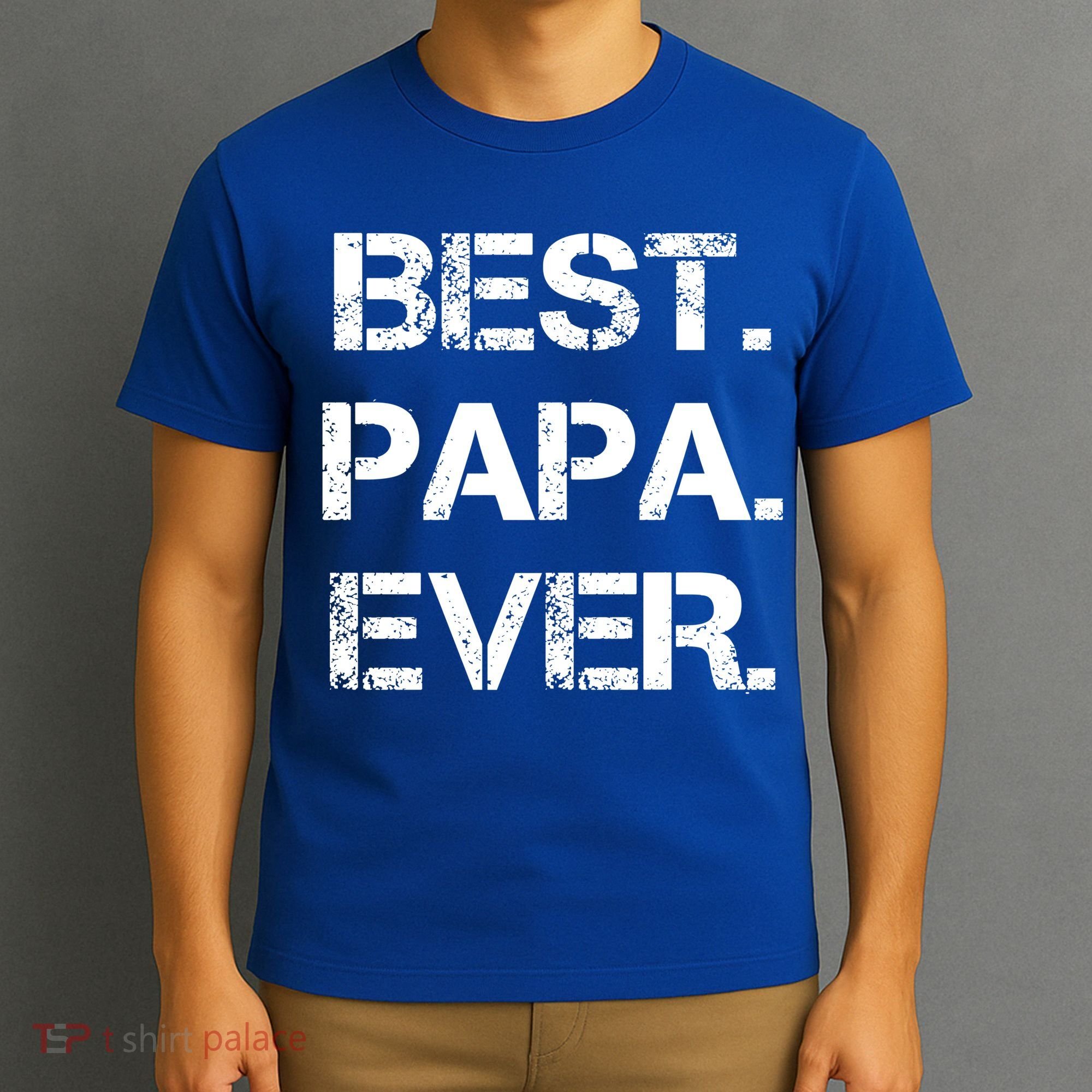 Best Papa Ever FatherS Day Gift T-Shirt