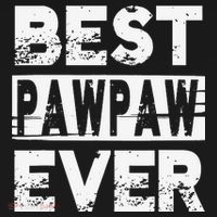 Best Pawpaw Ever Gift For Grandpa Father's Day Ornament thumb 1