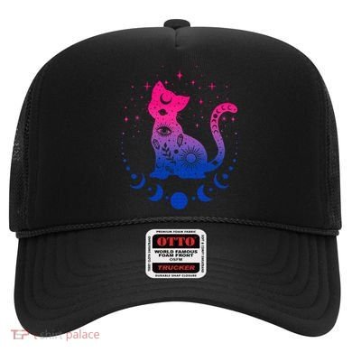Bisexual pride flag colors astronomy cat Hat
