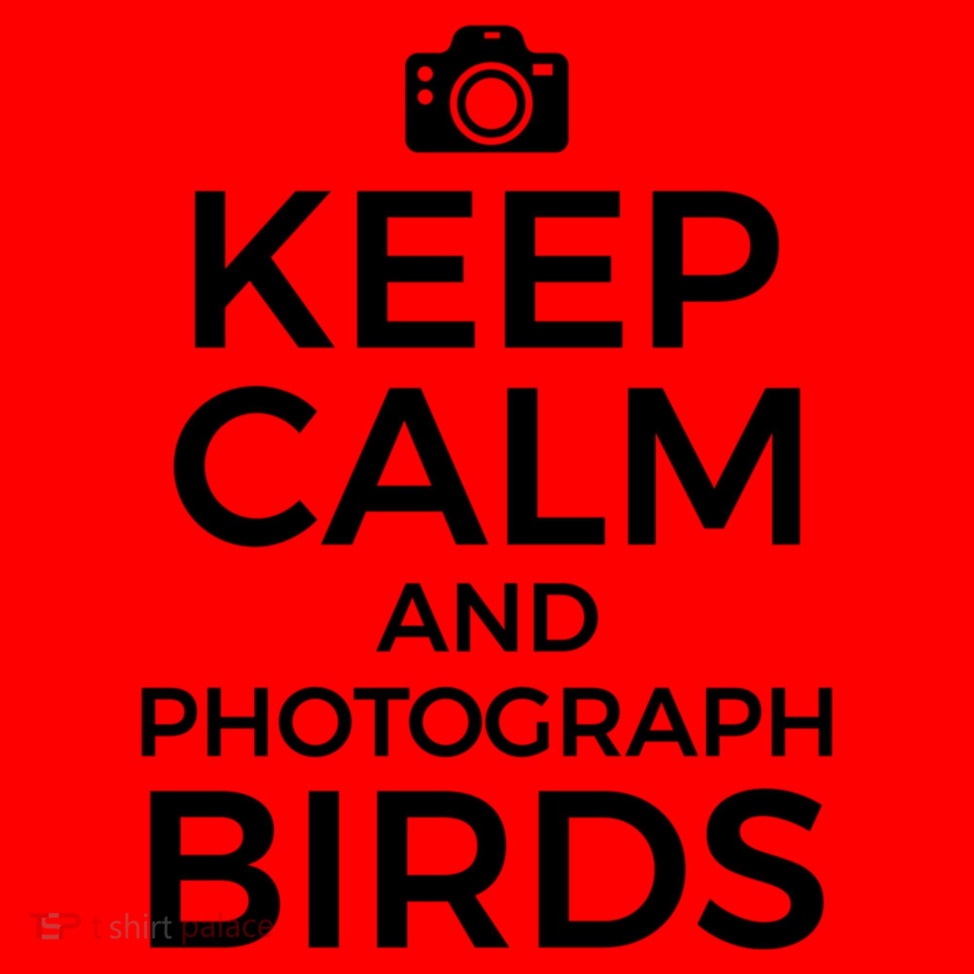 Bird Photographer Funny Funny Gift Wildlife Photography Cool Gift Santa Hat