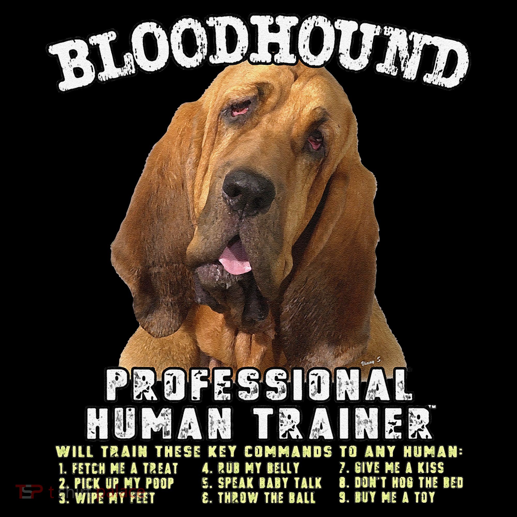 Bloodhound Professional Human Trainer Cute Dog Women's Hoodie