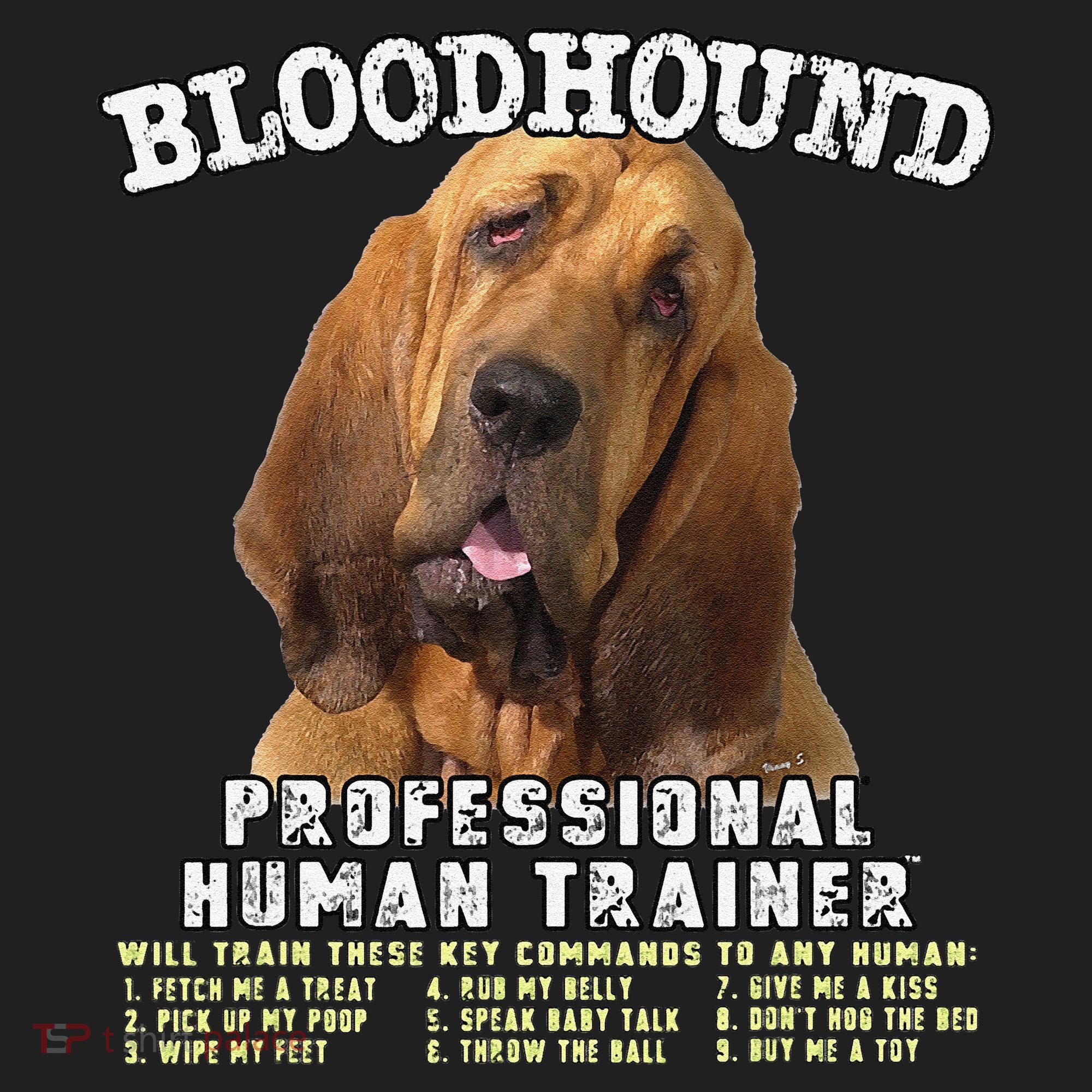 Bloodhound Professional Human Trainer Cute Dog Hat