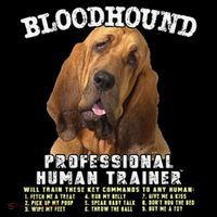 Bloodhound Professional Human Trainer Cute Dog Kids Hoodie thumb 5