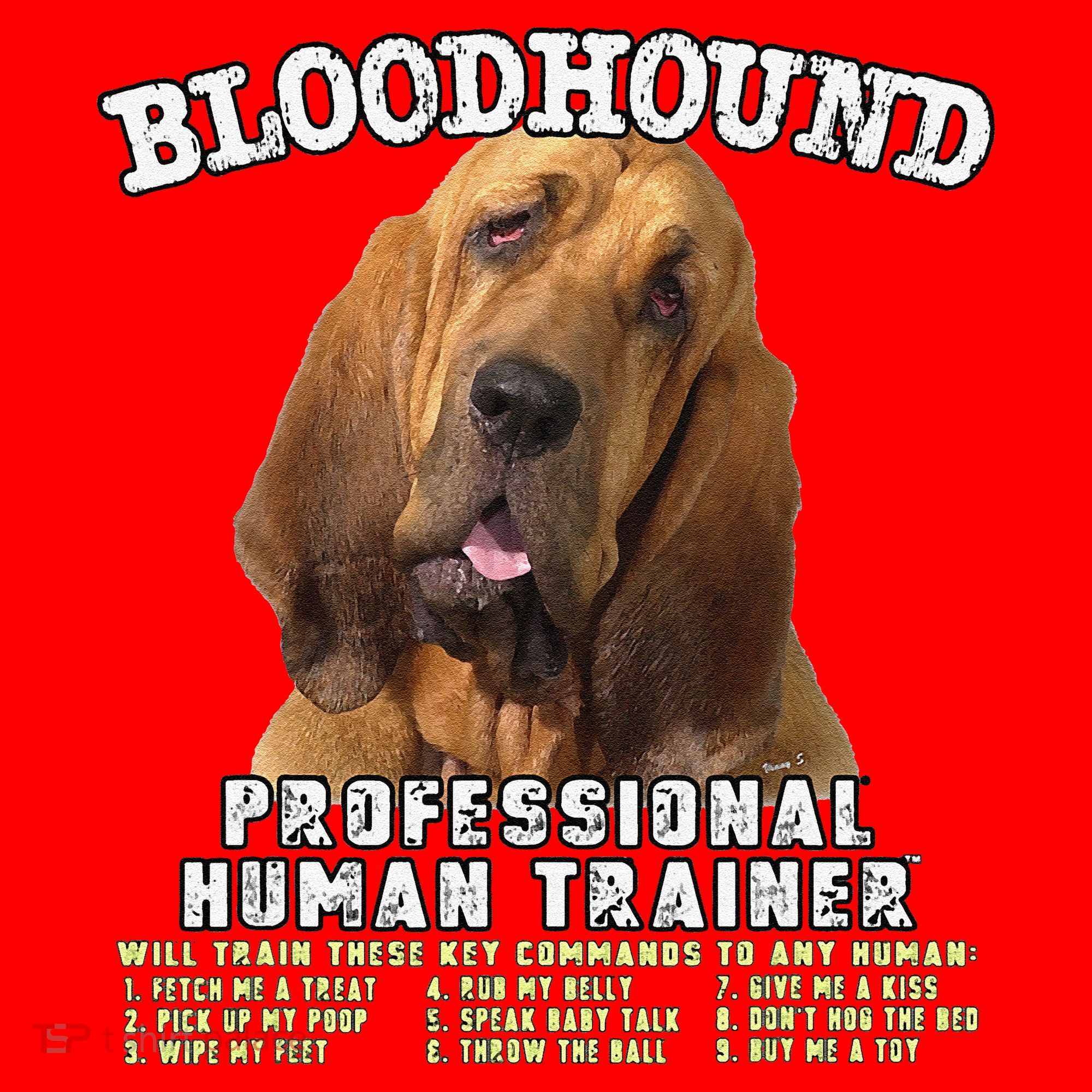 Bloodhound Professional Human Trainer Cute Dog Santa Hat