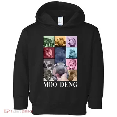 Toddler Hoodie