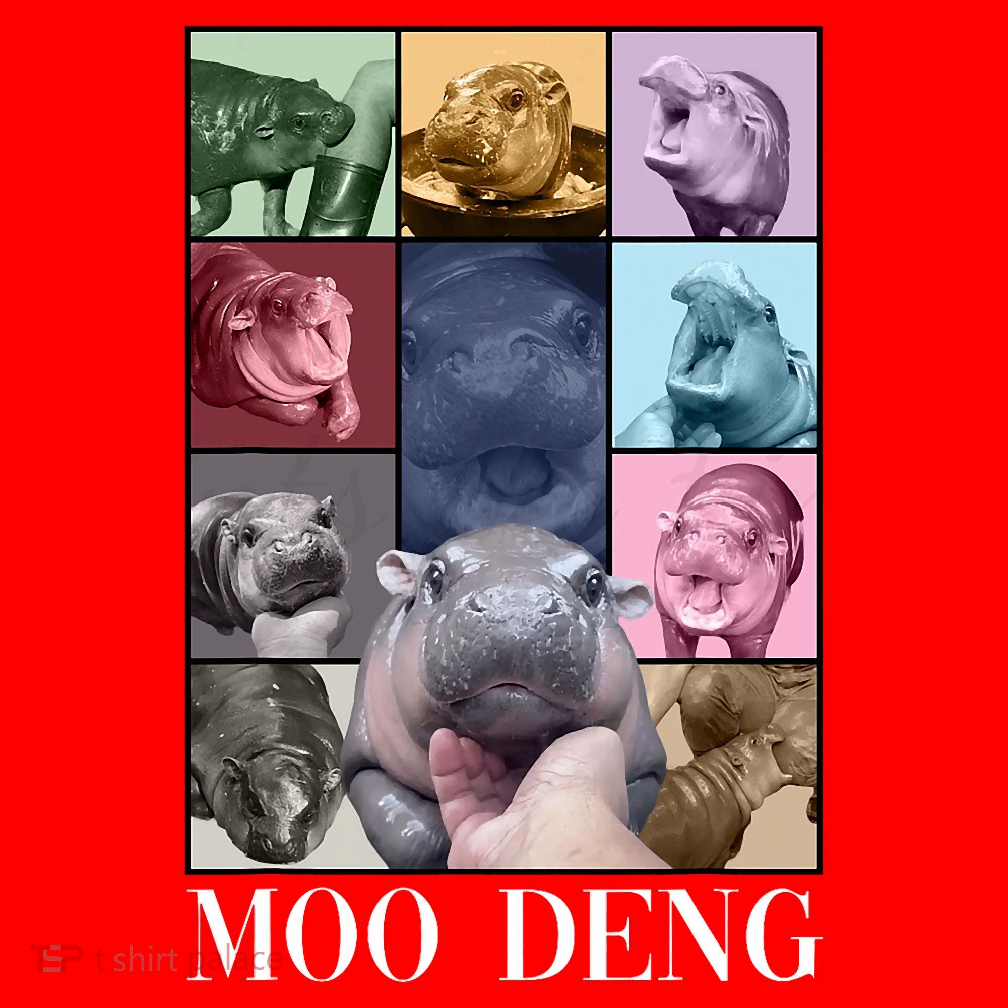 Baby Pygmy Hippo Moo Deng Era Santa Hat