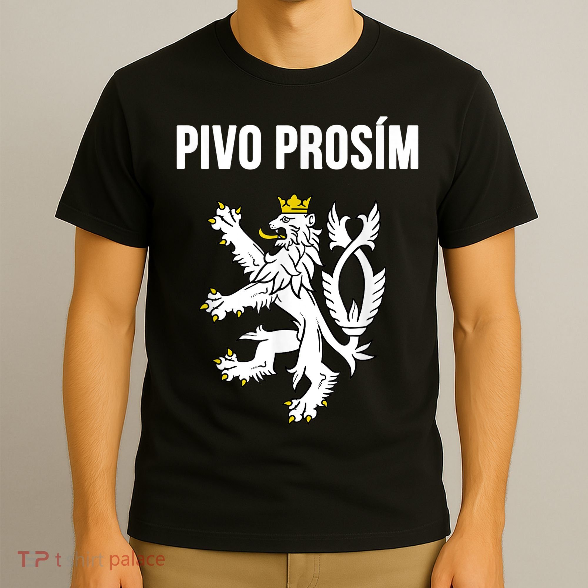 Beer Please In Czech Funny Czech Republic Souvenir T-Shirt