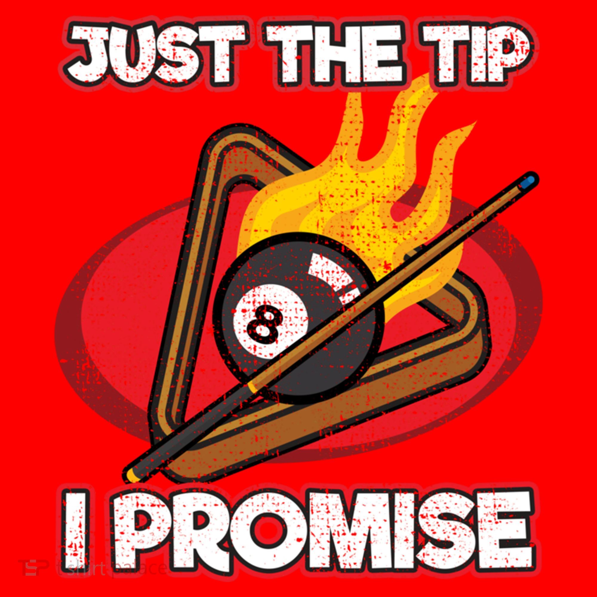 Billiards Player Just The Tip Promise Magic Shot Pool Cute Gift Santa Hat
