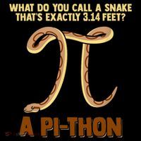 Ball Python Pi Snake Pet Owner Animal Gift Backpack thumb 2