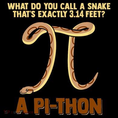 Ball Python Pi Snake Pet Owner Animal Gift Ladies PosiCharge Competitor Racerback Tank