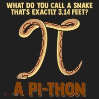 Ball Python Pi Snake Pet Owner Animal Gift Tumbler thumb 3
