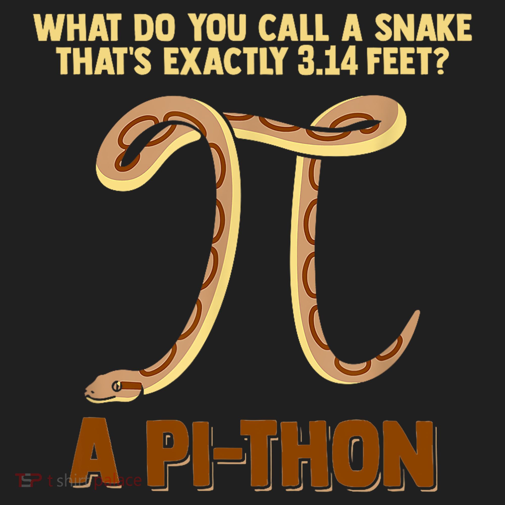 Ball Python Pi Snake Pet Owner Animal Gift Tumbler