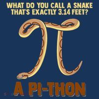 Ball Python Pi Snake Pet Owner Animal Gift Toddler T-Shirt thumb 4