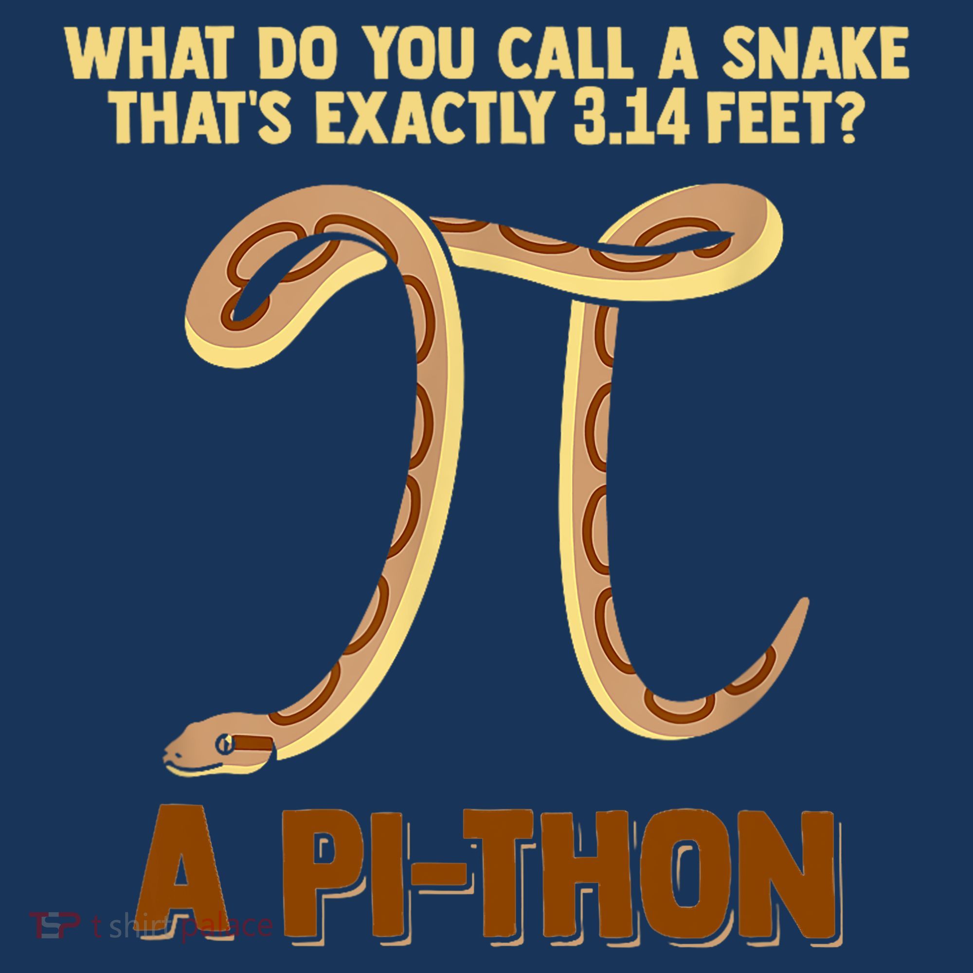 Ball Python Pi Snake Pet Owner Animal Gift Women's T-Shirt