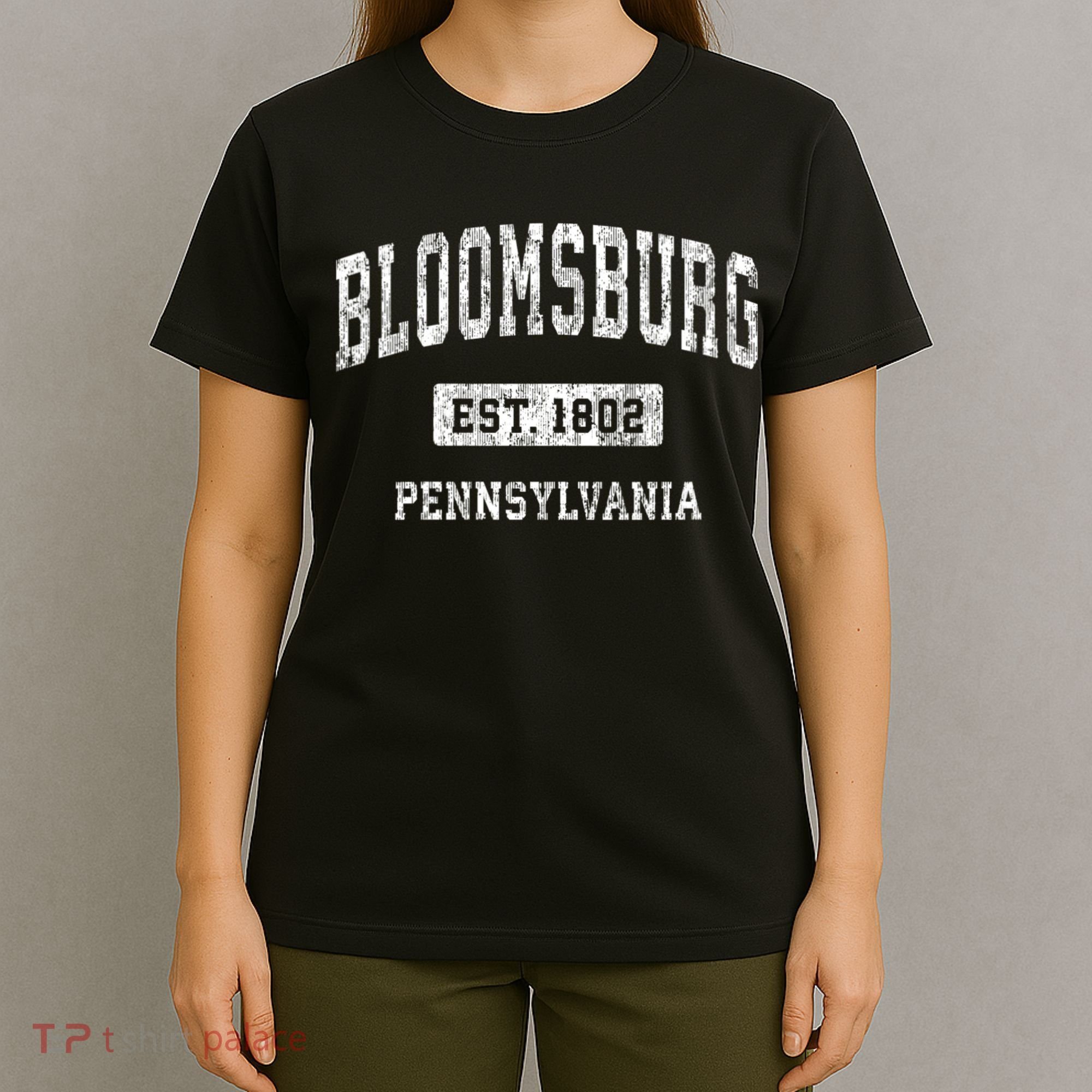 Bloomsburg Pennsylvania Pa Vintage Sports T-Shirt