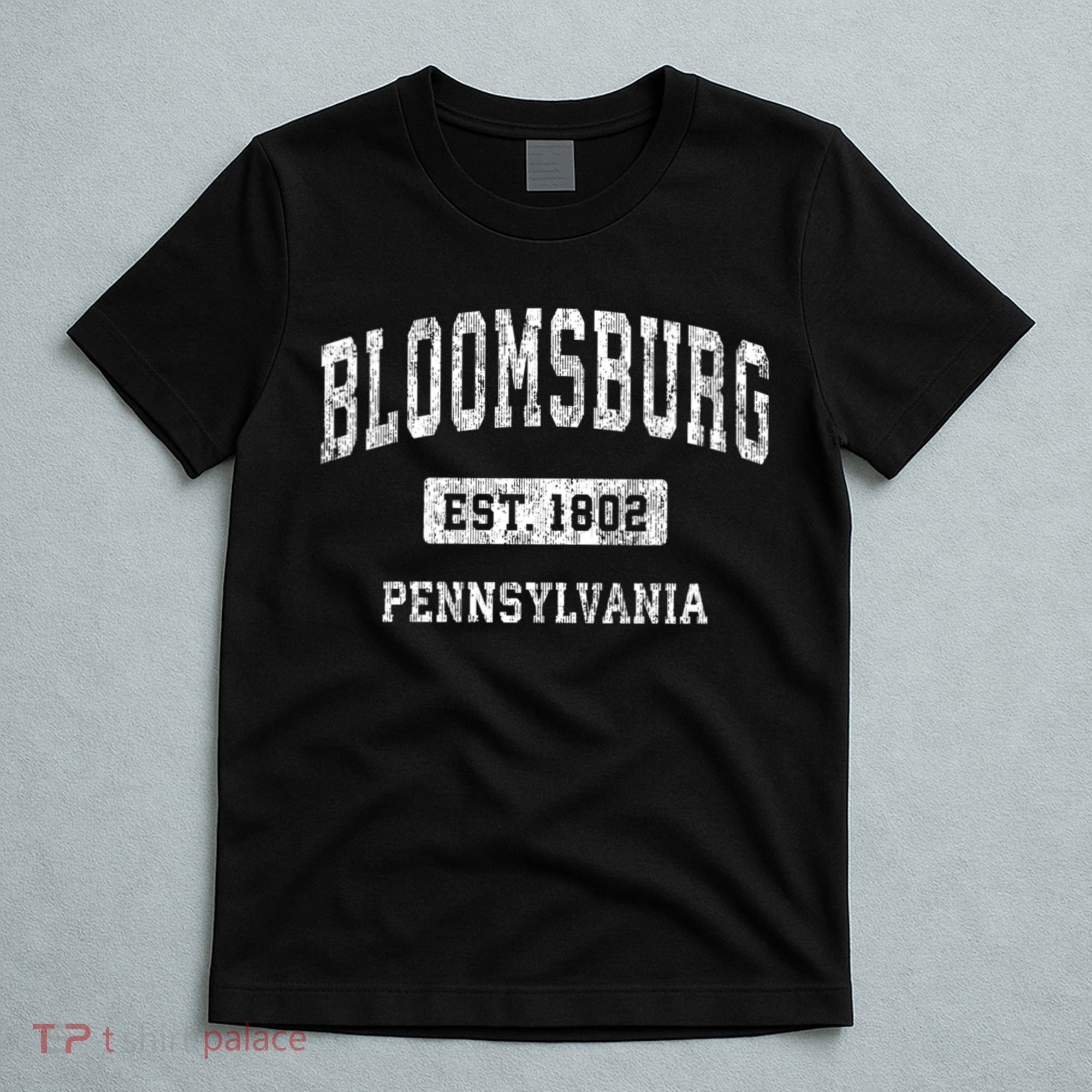 Bloomsburg Pennsylvania Pa Vintage Sports T-Shirt