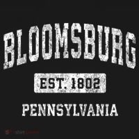 Bloomsburg Pennsylvania Pa Vintage Sports T-Shirt thumb 7