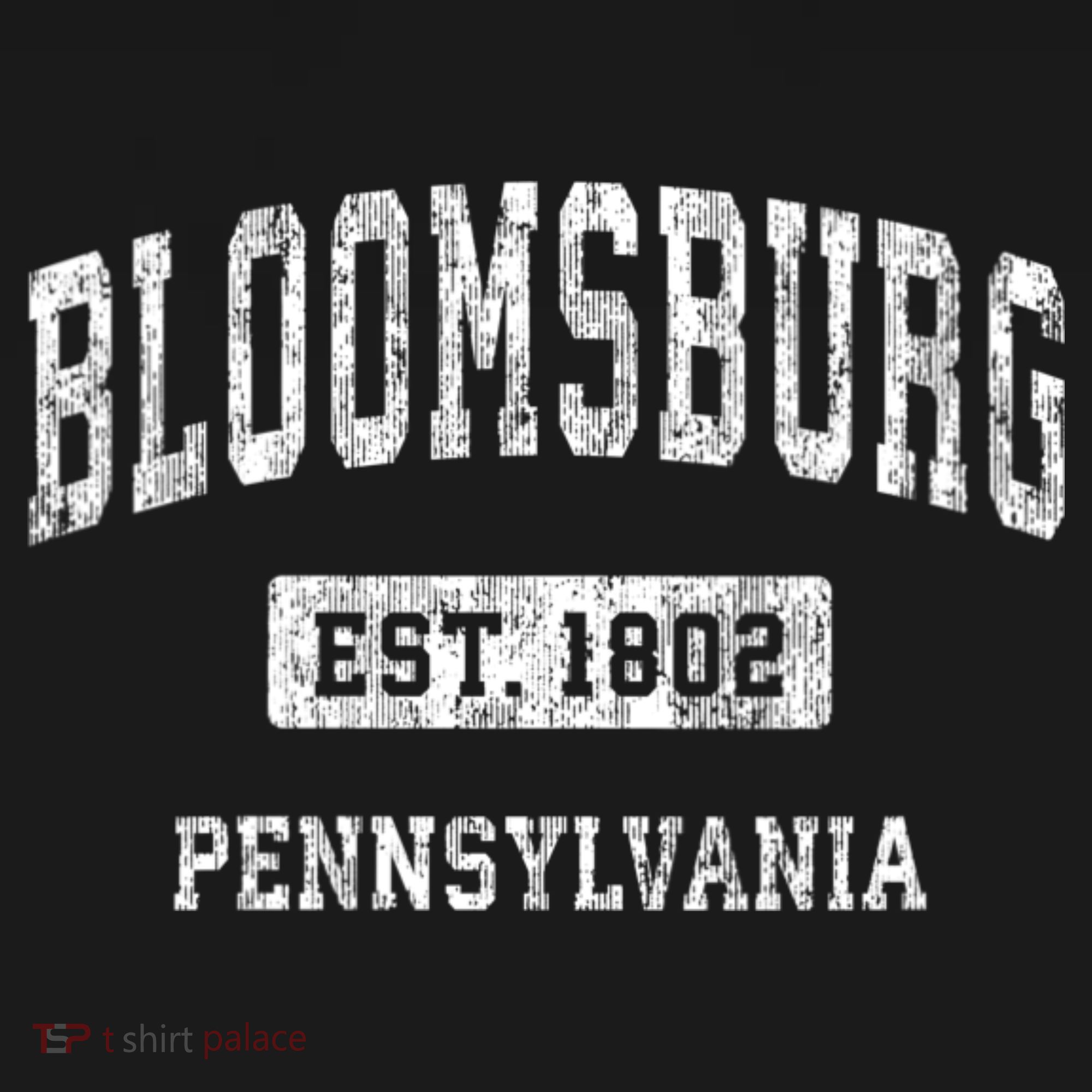 Bloomsburg Pennsylvania Pa Vintage Sports T-Shirt