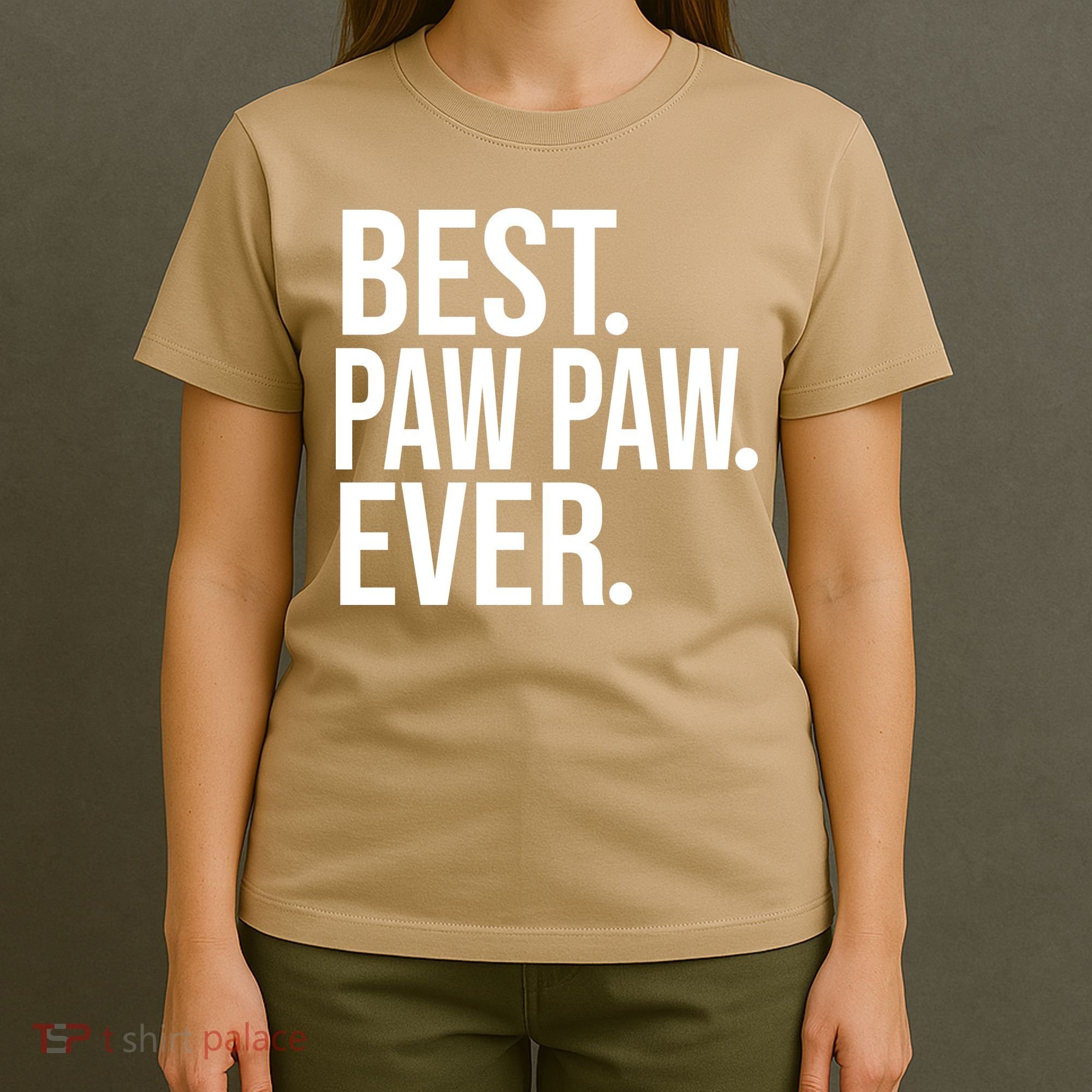 Best Paw Paw Ever Trending Fathers Day Birthday Christmas Grandpa Gift Birthday T-Shirt